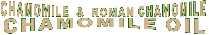 CHAMOMILE  &  ROMAN CHAMOMILE CHAMOMILE OIL