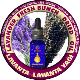 LAVANDER & LAVANDER OIL