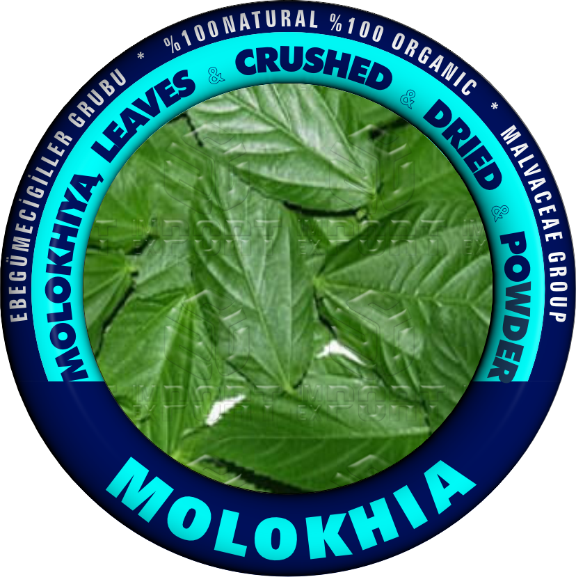 MOLOKHIA