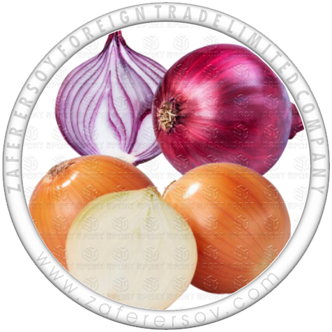 WHITE - RED  ONION
