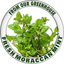 MORACCAN MINT