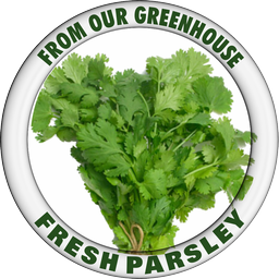 PARSLEY