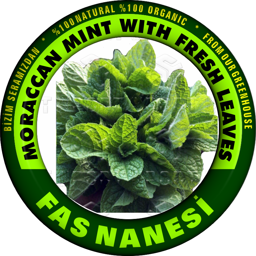 MORACCAN MINT