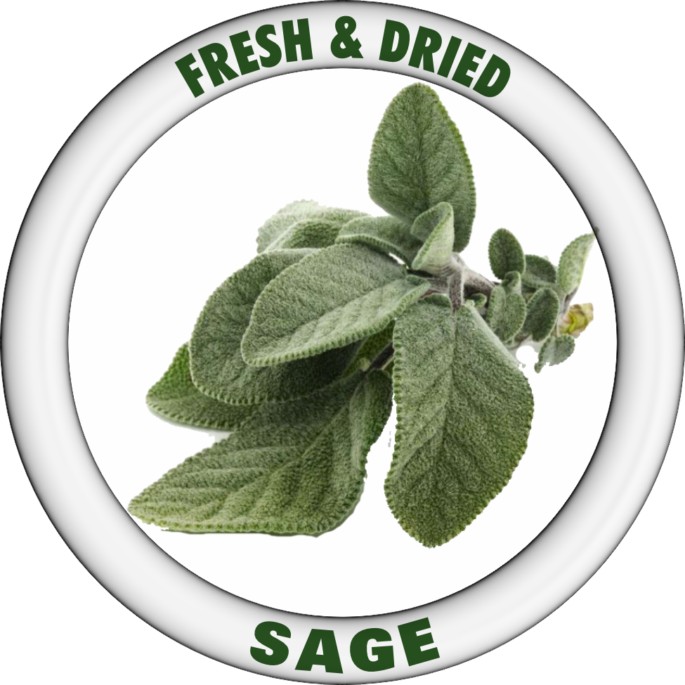 FRESH LEAF SAGE