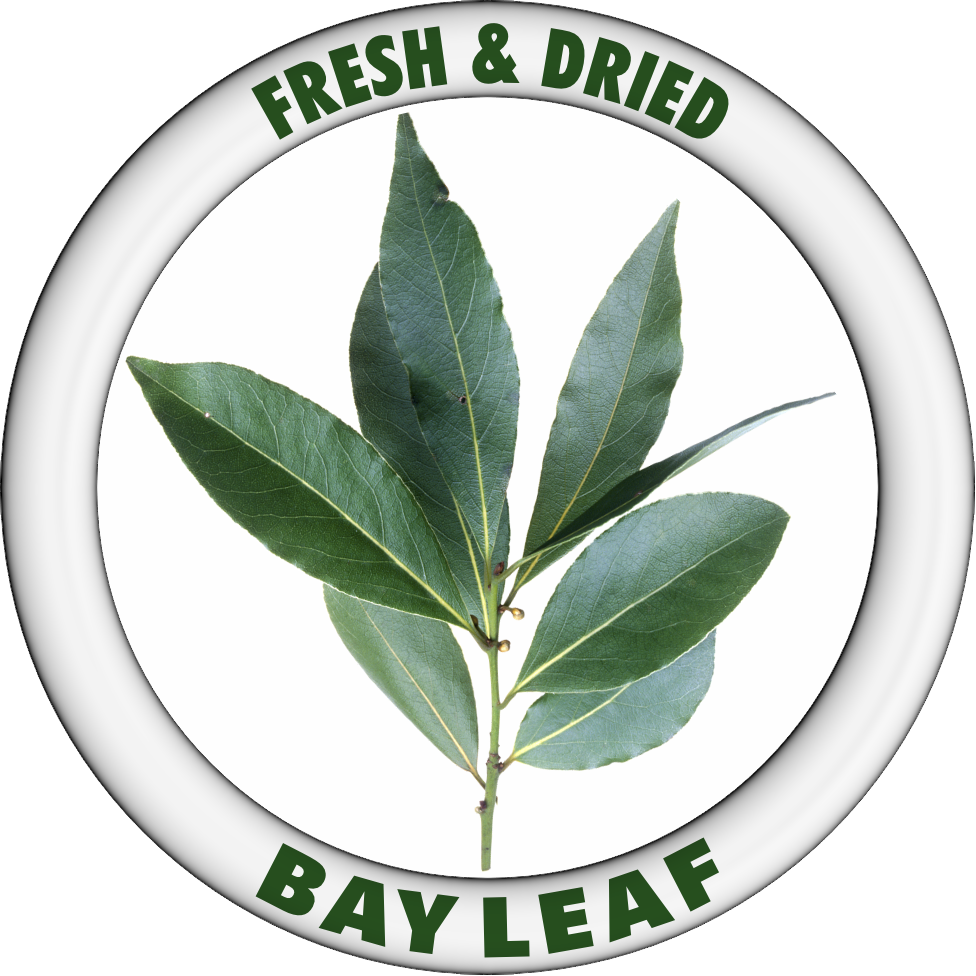 BAY LEAF