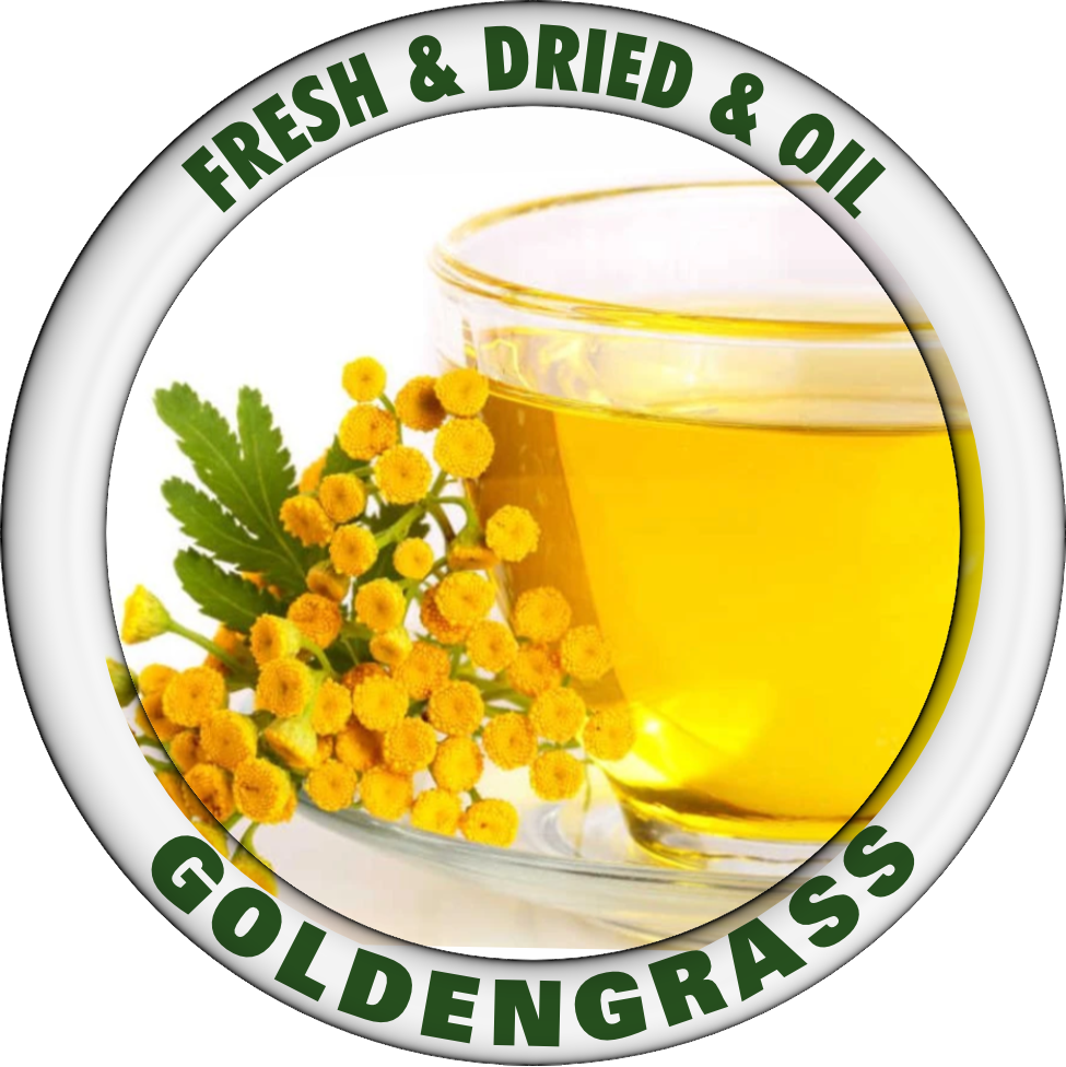 GOLDEN GRASS OIL