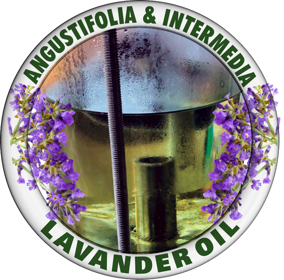 LAVANDER OIL