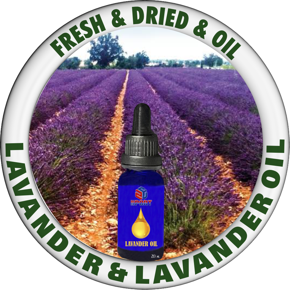 LAVANDER & LAVANDER OIL