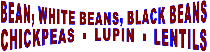 BEAN  -  WHITE BEAN CHICKPEAS  -  LUPIN  -  LENTILS