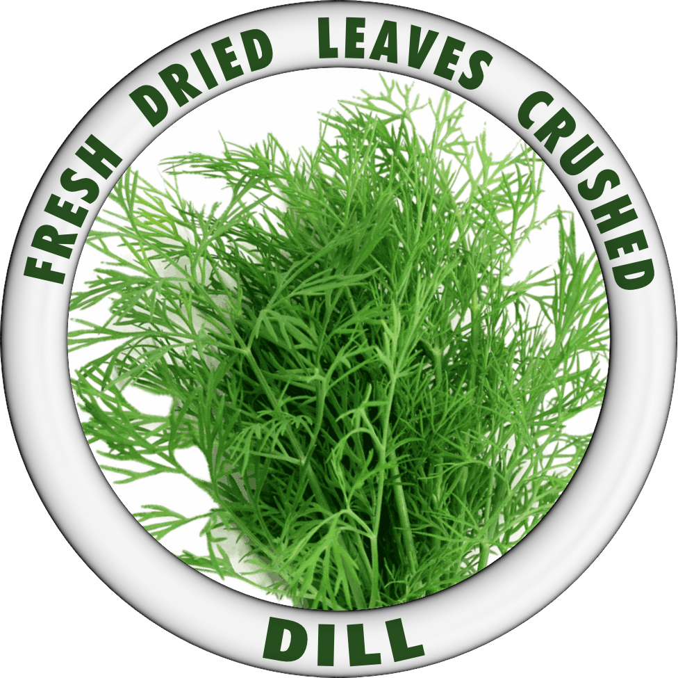 DILL