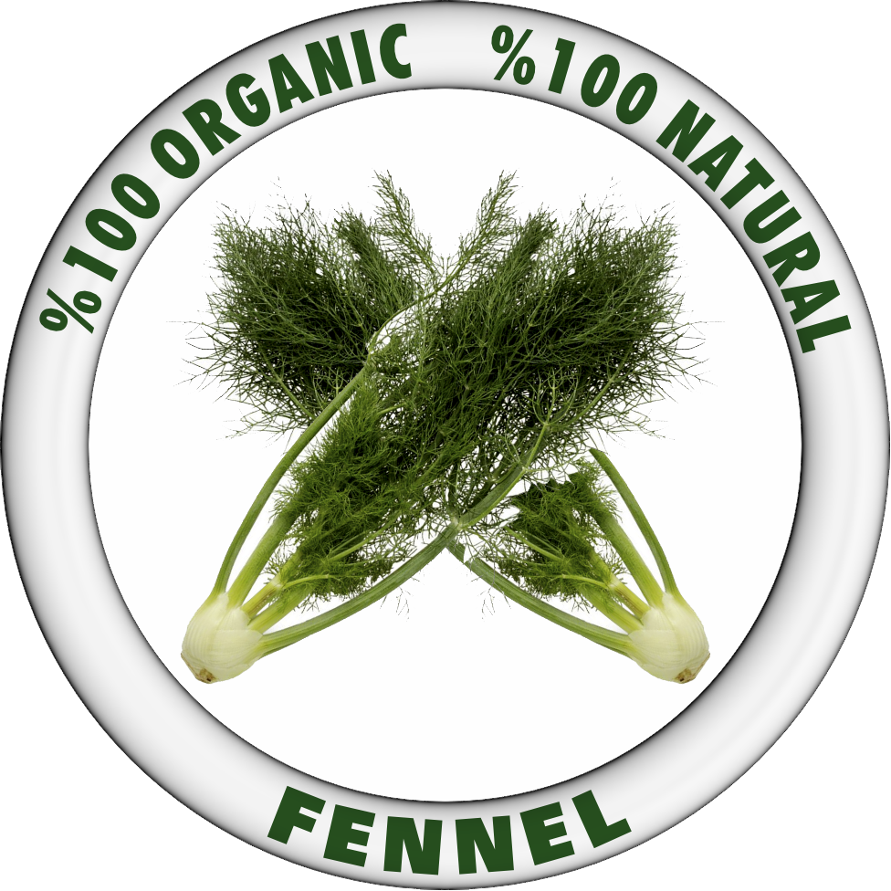 FENNEL